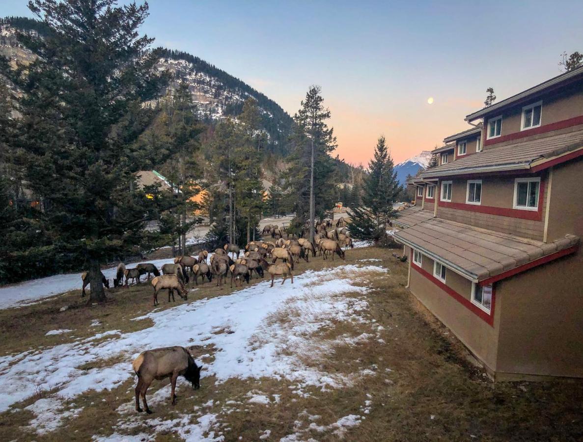 Hi Banff Alpine Centre - Hostel エクステリア 写真